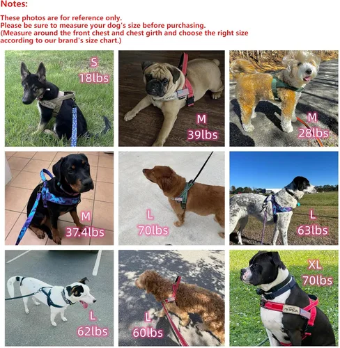 Vista 7 de Annchwool Arnés sin tirones para perro, con mango acolchado suave, tira reflectante a prueba de fugas y ajuste rápido para ajustar el arnés