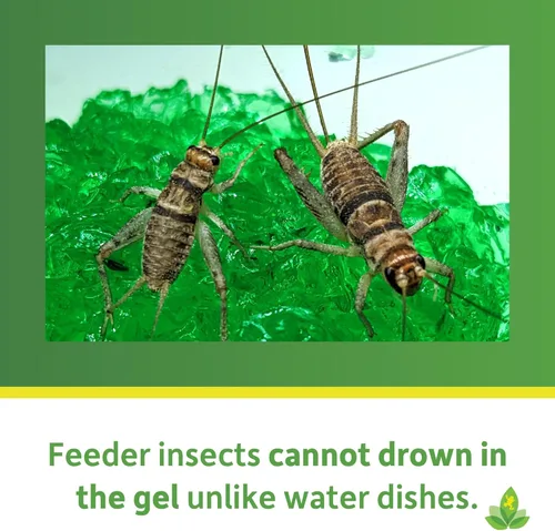 Vista 4 de Josh's Frogs Gel de riego de insectos (16 oz)