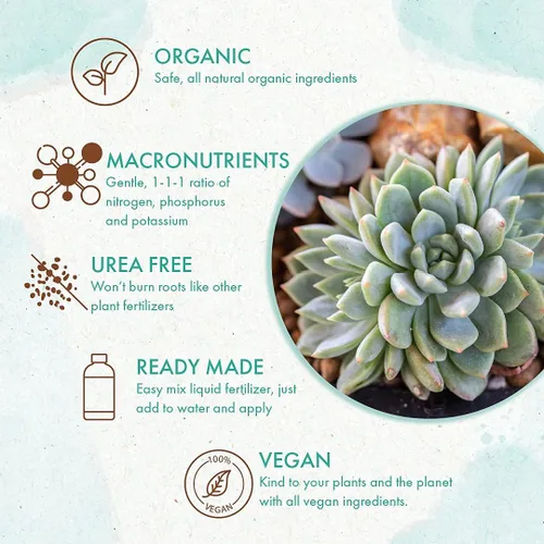 Vista 3 de Alimento orgánico para plantas suculentas y cactus, nutrientes líquidos suaves para aloe vera y otras suculentas y cactus comunes
