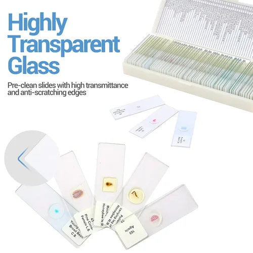 Vista 3 de 60 portaobjetos de microscopio con muestras para niños, diapositivas de microscopio preparadas para microbiología infantil, diapositivas