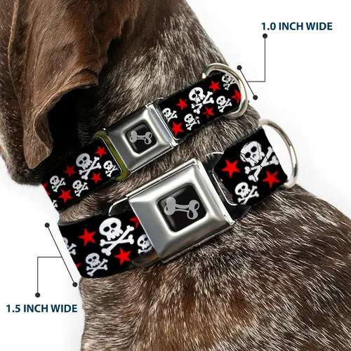Vista 2 de Buckle-Down Collar de perro con hebilla de cinturón de seguridad, calaveras y estrellas, negro/blanco/rojo, 1 pulgada de ancho, se adapta a cuello
