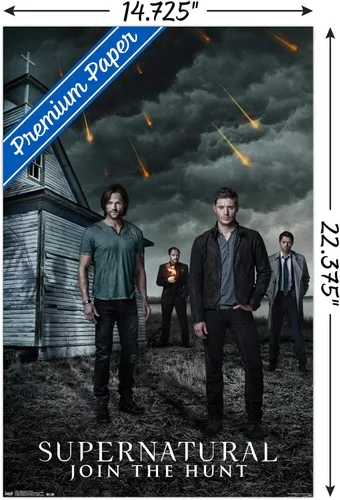 Vista 3 de Trends International Supernatural-Póster de pared de iglesia, 14.725 x 22.375 pulgadas, versión premium sin marco
