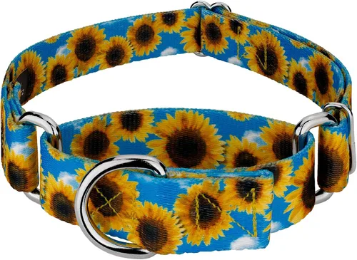Vista 11 de Country Brook Petz - Collar de perro Martingale, collar de entrenamiento resistente, colección floral vibrante con diseños encantadores, campos