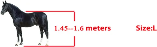 Vista 7 de Pssopp Juego de 4 botas de tendón de caballo, botas de caballo gruesas de poliuretano con carcasa de caballo, botas ligeras con parte delantera