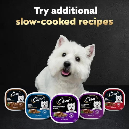 Vista 7 de Cesar - Comida húmeda gourmet para perros en paquete variado de 12 unidades (paquete de 2)