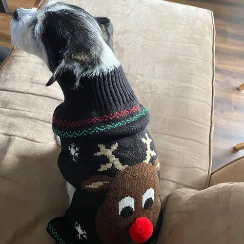 Vista 3 de NACOCO Suéter Navideño Festivo de Ciervo Reno para Gato Suéter para Perro Ropa de Invierno Teddy Caniche Ropa de Otoño Invierno Ropa para Mascotas