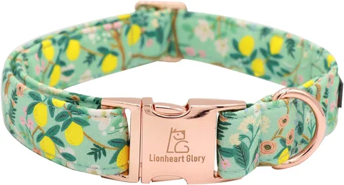 Vista 46 de Lionheart glory Collar de perro, collar azul para perros pequeños, collar de dinosaurio ajustable para perros pequeños, regalo para mascotas