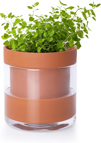 Vista 21 de Phoenix Vine Macetero de terracota de riego automático de 4 pulgadas, maceta de arcilla de terracota negra con depósito de vidrio para plantas