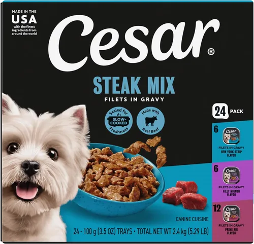 Cesar - Comida húmeda para perros adultos de filetes en salsa con sabor a filete mignon, tira y costilla de primera de Nueva York, paquete variado