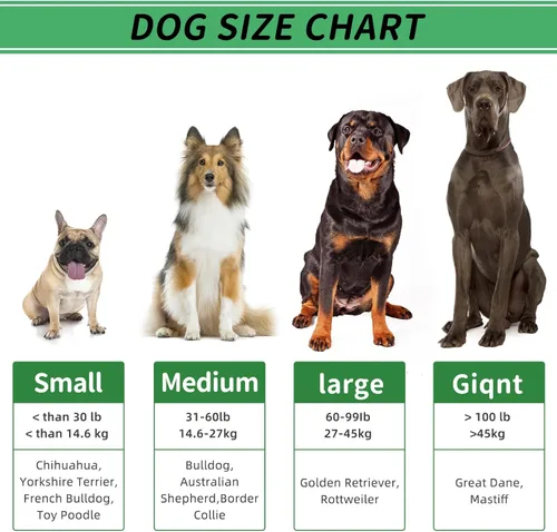 Vista 6 de Juego de juguetes masticables para perros medianos y grandes, cepillo de dientes para perros, cepillo de limpieza dental, juguetes chirriantes