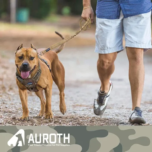 Vista 7 de AUROTH Correa elástica resistente para perros de razas grandes, sin tirones para absorción de golpes con cinturón de seguridad del automóvil, 2 asas