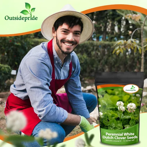 Vista 8 de Outsidepride Semilla de trébol holandés blanco perenne de 1 libra con semillas de trébol rojo de 2 libras, recubiertas nitrográficas, semillas
