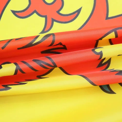 Vista 34 de AZ FLAG Bandera de Aland 2' x 3' - Banderas de Finlandia Aland 23.6 x 35.4 in - Banner 2x3 ft