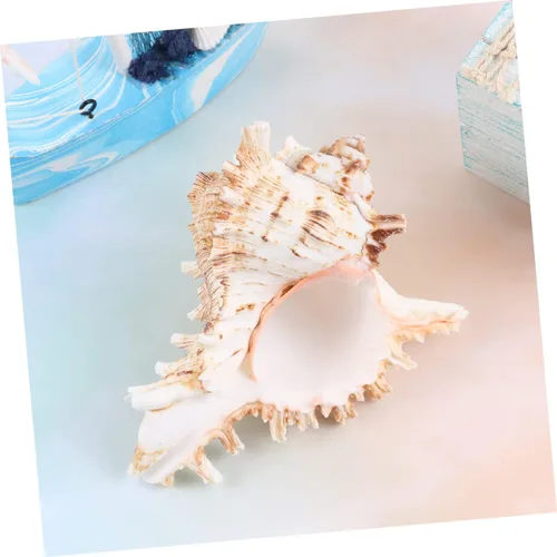 Vista 5 de FOMIYES Conch Ornament for Aquarium Natural Landscape Accessory 10-11cm Fish Tank Decoration Shell Ornament