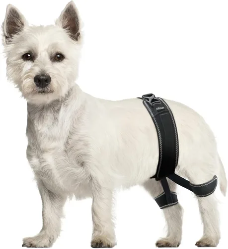 CHAMIN Soporte de cadera para perro – Arnés de apoyo para displasia de cadera, alivio del dolor en las articulaciones, evita problemas en las