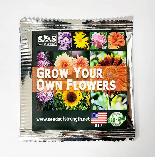 Vista 6 de 1000 semillas de tomillo rastrero – Thymus Serpyllum– cubierta perenne para tierra