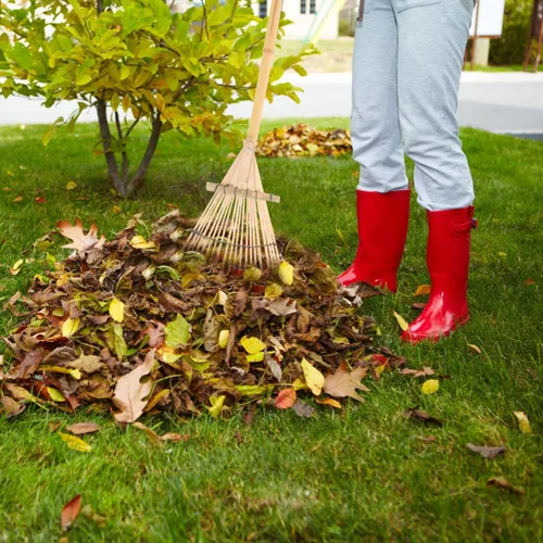 Vista 7 de Rastrillo de jardinería de mano para recolección de hojas, herramienta de rastrillo con dientes para el cuidado del césped y el jardín, ideal