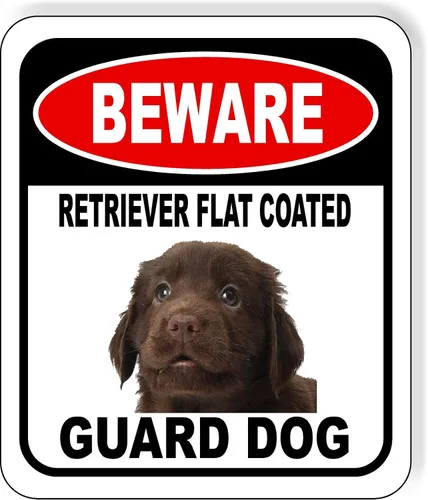 Vista 98 de BEWARE BASSETT HOUND GUARD DOG - Letrero compuesto de aluminio para exteriores, 8.5 x 10 pulgadas