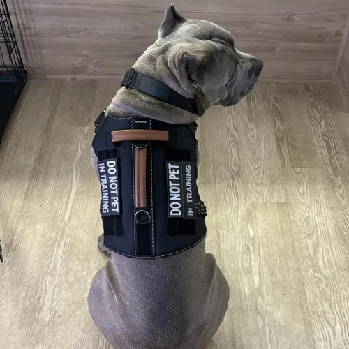 Vista 6 de Paquete de 2 parches para perros de servicio para arnés o collar de perro, letras grandes transparentes para una fácil visibilidad, para perros