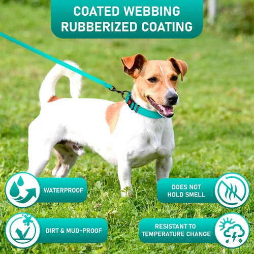 Vista 5 de Correa impermeable para perro, resistente de 6 pies, fabricada en Estados Unidos, color azul