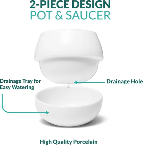 Vista 2 de Maceta Willowy Pequeña para Suculentas (1 Paquete) - Macetas para Suculentas con Bandeja de Drenaje - Macetas de Cerámica, Macetas