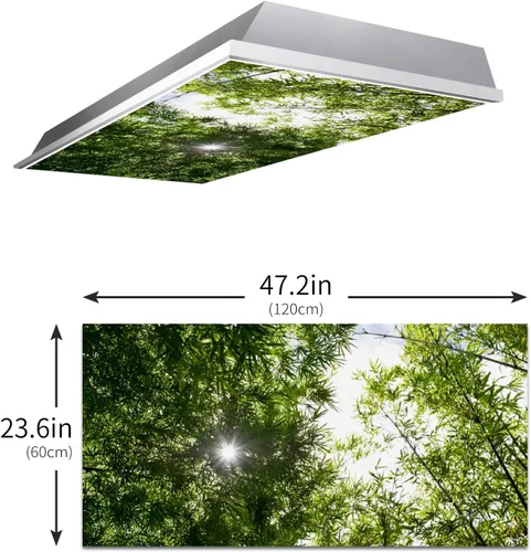Vista 3 de Inserto de Cubierta de Luz de Techo Suspendido 4' x 2' pies (Naturaleza Bosque Hojas de Bambú Sol Verde) - Cubierta de Luz Fluorescente Reduce