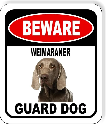 Vista 92 de BEWARE BASSETT HOUND GUARD DOG - Letrero compuesto de aluminio para exteriores, 8.5 x 10 pulgadas