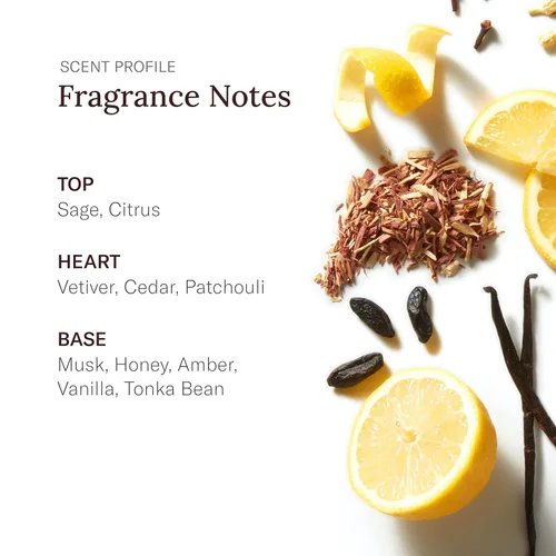 Vista 4 de Stetson Original Aftershave Splash para hombre - Aroma terroso y amaderado con notas de fragancia de cítricos, pachulí y haba tonka, 3.5 onzas