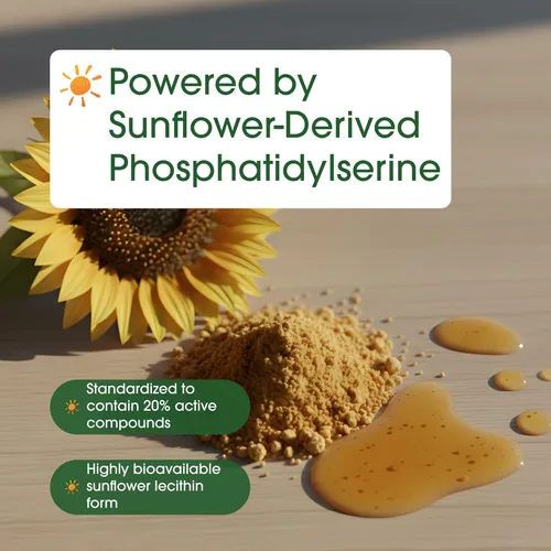 Vista 6 de NatureBell Phosphatidylserine 500mg - 240 Capsules - Brain Health Support for Men & Women* - Bioavailable Sunflower Lecithin - Easy-to-Swallow
