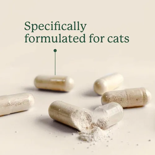 Vista 8 de AnimalBiome NEW Gut Maintain Multi-Strain Probiotics for Cats (30 Capsules) – Triple-Action Phage, Prebiotics & Probiotic Cat Supplements for