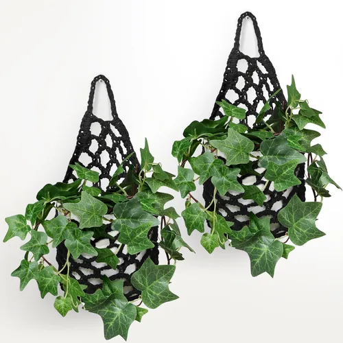 Vista 15 de Paquete de 2 Maceteros de Pared para Plantas de Interior, Colgador de Plantas de Macramé Macetero de Pared, Colgador de Plantas, Macetero Colgante