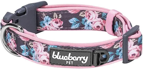 Vista 21 de Blueberry Pet - Collar ajustable para perro con forma de diamantes tribales del sudoeste en francés rosa con hebilla de metal, cuello 9-12.5