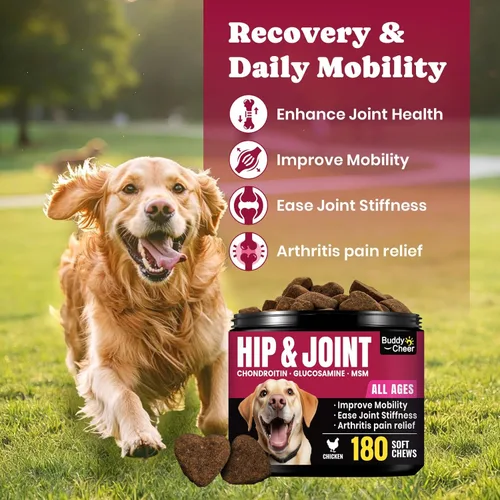 Vista 2 de Glucosamina para perros – Suplemento masticable para cadera y articulaciones para personas mayores y de razas grandes, suplemento articular