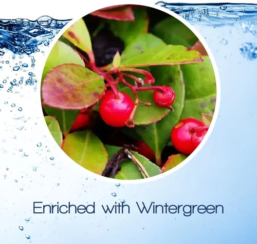 Vista 3 de Hydro 2 Oil Aceite de masaje Warm Up de 33.8 onzas líquidas, fórmula dispersable en agua para máxima relajación y alivio muscular