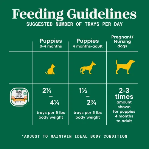 Vista 6 de Nutro, cortes en salsa sin grano, comida húmeda para perros y adultos, bandejas de 3.5 oz, Perro