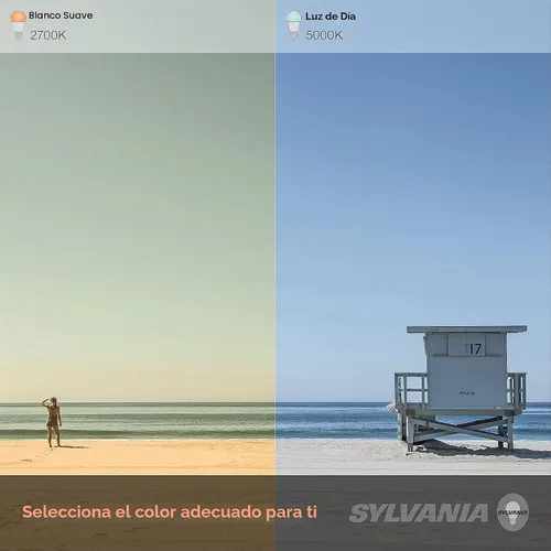 Vista 9 de LEDVANCE Sylvania - Bombilla LED TruWave Natural Series A19, equivalente a 75 W, eficiente 11 W, 1100 lúmenes, base media, regulable, esmerilada