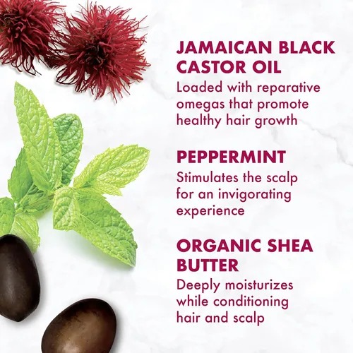Vista 7 de SheaMoisture Acondicionador de coco e hibisco para cabello seco y rizado, coco, 24 onzas líquidas y aceite de ricino negro jamaicano sin enjuague