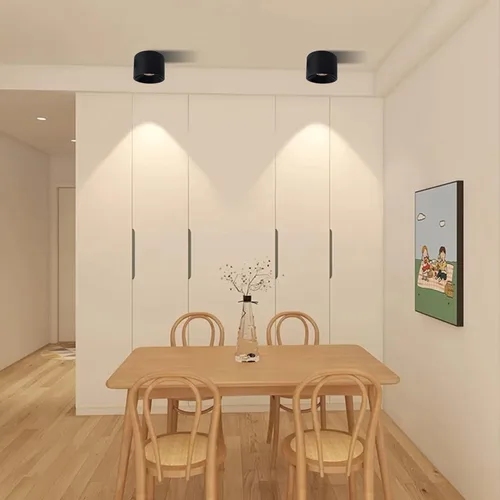 Vista 6 de Foco de Techo LED Regulable de Aluminio Negro Mate de 4.72 pulgadas, Foco Cilíndrico para Interiores, Moderno, Minimalista, Luminaria Direccional