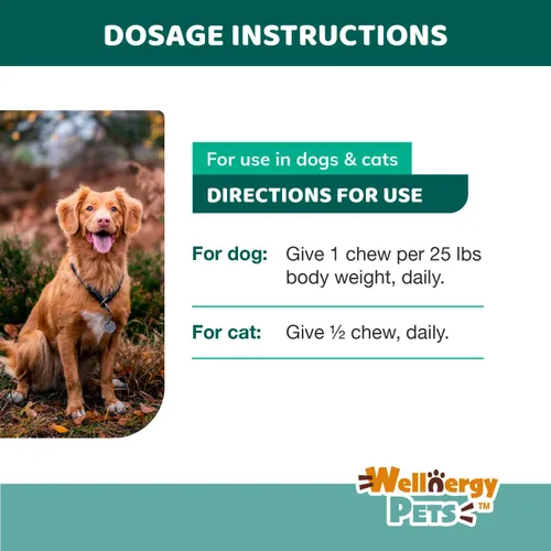 Vista 6 de Wellnergy - Probióticos diarios y prebióticos masticables suaves para perros y gatos, apoyo digestivo para diarrea, estreñimiento, malestar