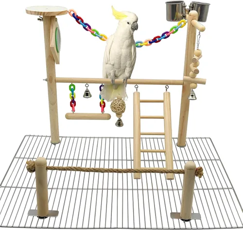 Jaula superior para patio de recreo para pájaros, loro y gimnasio colgante, soporte de juego para conure, periquitos, periquitos, cacatúas,