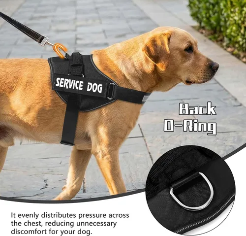 Vista 4 de MUMUPET - Arnés para perro guía, fácil de poner y quitar, arnés de chaleco para mascotas, reflectante 3M, transpirable y fácil de ajustar, con mango