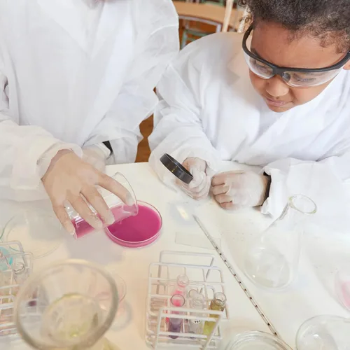 Vista 9 de 25 tubos de ensayo de plástico con tapas, tubos de plástico transparente de 0.3 fl oz con tapones de corcho, recipientes pequeños transparentes