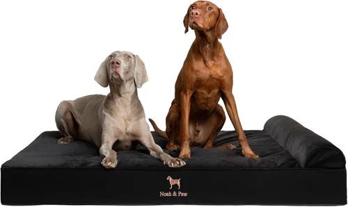 Vista 10 de NOAH & PAW Cama pequeña para perros, 20 x 15 x 6.5 pulgadas, cama para gatos de interior, espuma viscoelástica ortopédica de cáscara de huevo
