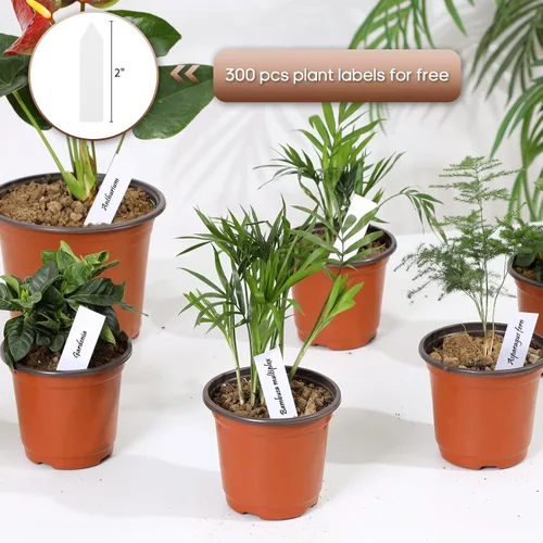 Vista 4 de Paquete de 300 Macetas de Plástico de 4 Pulgadas para Plantas, Macetas Pequeñas para Plántulas, Macetas para Suculentas, Macetas con Agujeros