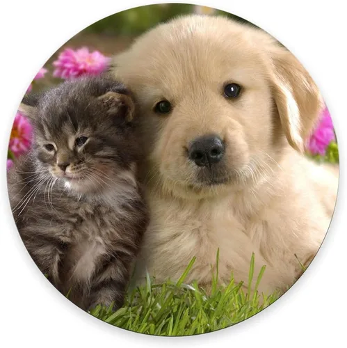 Vista 9 de Alfombrilla de mouse floral con cita inspiradora de neopreno, para decoración de espacio de oficina, accesorios para computadora, accesorios