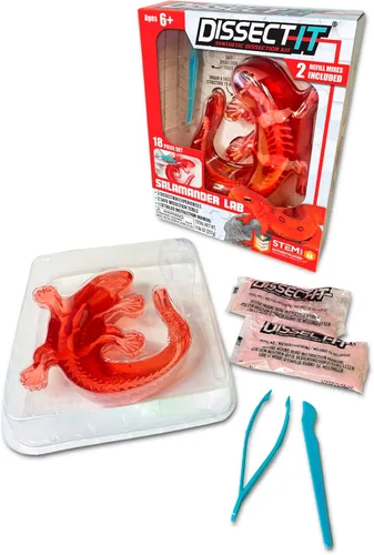 Vista 15 de Dissect-It Juguete de Disección de Laboratorio Sintético Simulado, Proyectos STEM para Niños, Ciencia Animal, Biología y Anatomía Kit de Aprendizaje