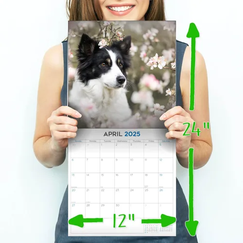 Vista 7 de 2025 Border Collie Calendar - Dog Breed Wall Calendar - 12 x 24 Open - Thick No-Bleed Paper - 14 Month Planner Calendar Organizing & Planning