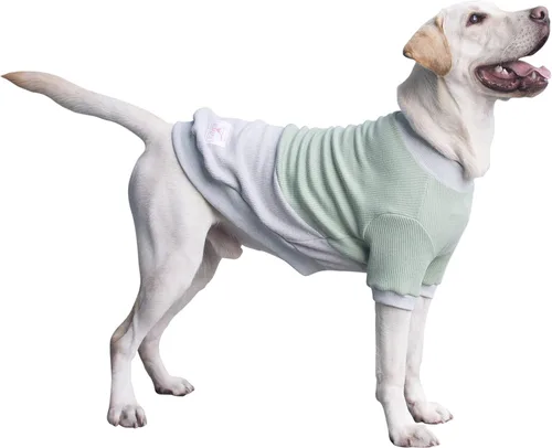 Vista 77 de Camisetas a rayas para perros medianos, ropa sin mangas, camiseta sin mangas, chaleco para Schnauzer, Shiba Inu, rojo, grande
