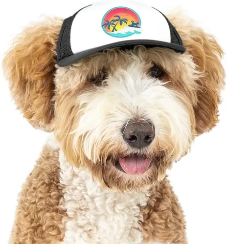 Vista 14 de Sunset Collection, sombreros de camionero de PupLid para perros (XXS) Protección solar elegante de alta calidad para el perro moderno, ajustable