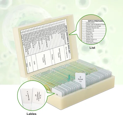 Vista 3 de 30 portaobjetos de microscopio con muestras para niños, diapositivas de microscopio preparadas para niños, diapositivas preparadas de vidrio